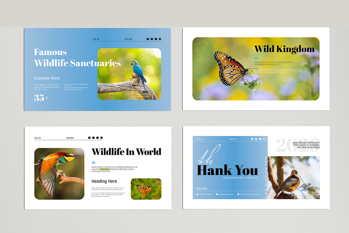 Wildlife Presentation Template, a Presentation Template by MightyDesign (Photo 5 of 8)