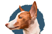Dogs Pet Portraits Art Print Set 6, an Animal Illustration by Dneprstock (Thumbnail 5 of 5)