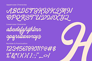 Holistical - A Handwitten Font, a Script Font by zeenesia (Thumbnail 14 of 17)