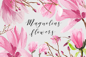 Magnolias Watercolor Flowers