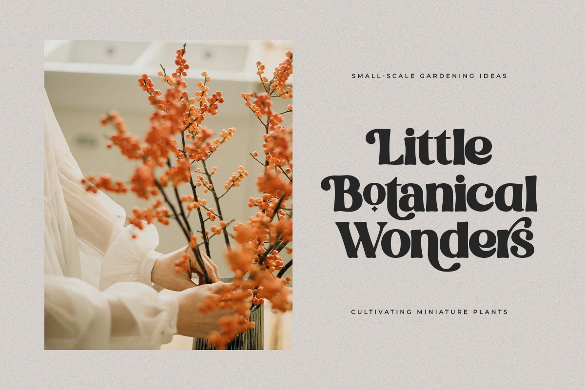 East Kind | Serif Font, a Serif Font by Taboja Studio (Photo 5 of 10)