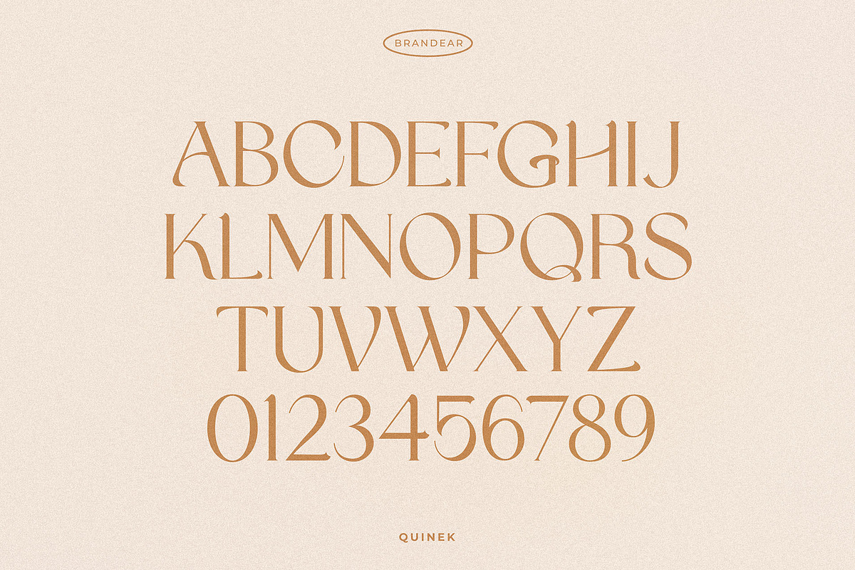 Quinek Elegant Serif, a Serif Font by Brandear Design (Photo 13 of 16)