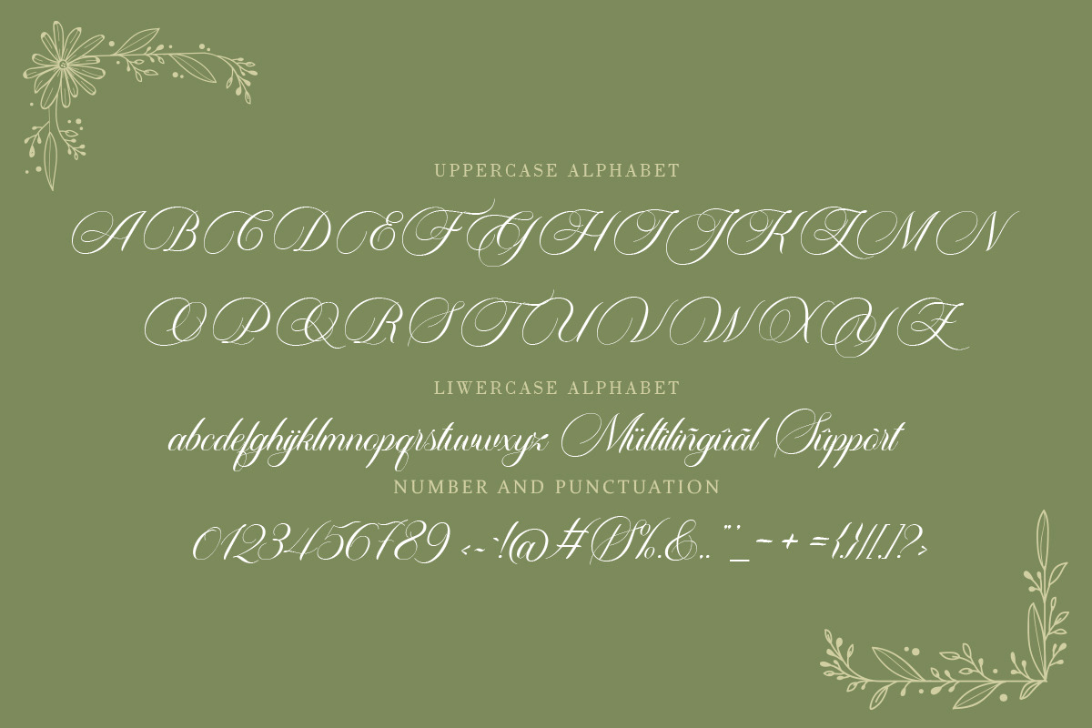 Carista Calligraphy, a Script Font by Pista Mova (Photo 3 of 10)