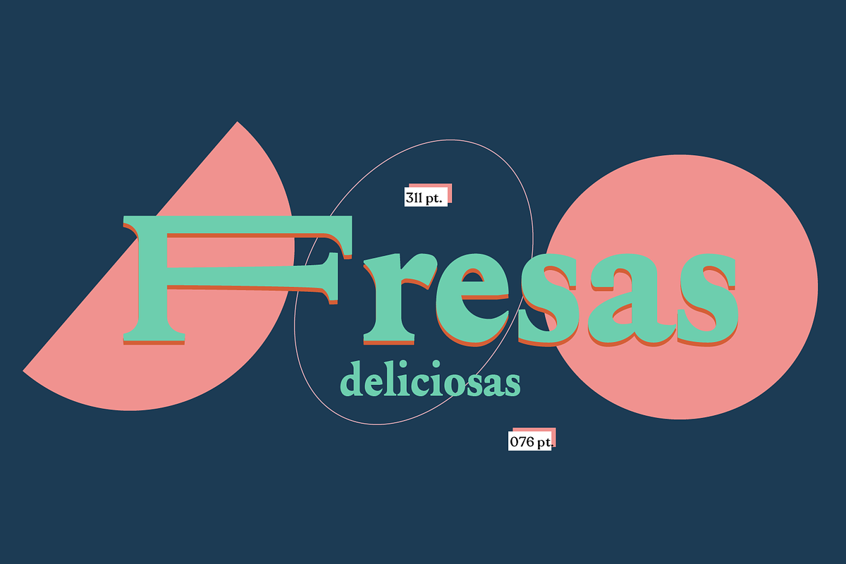 Acelga, a Serif Font by yaisalinas (Photo 13 of 15)