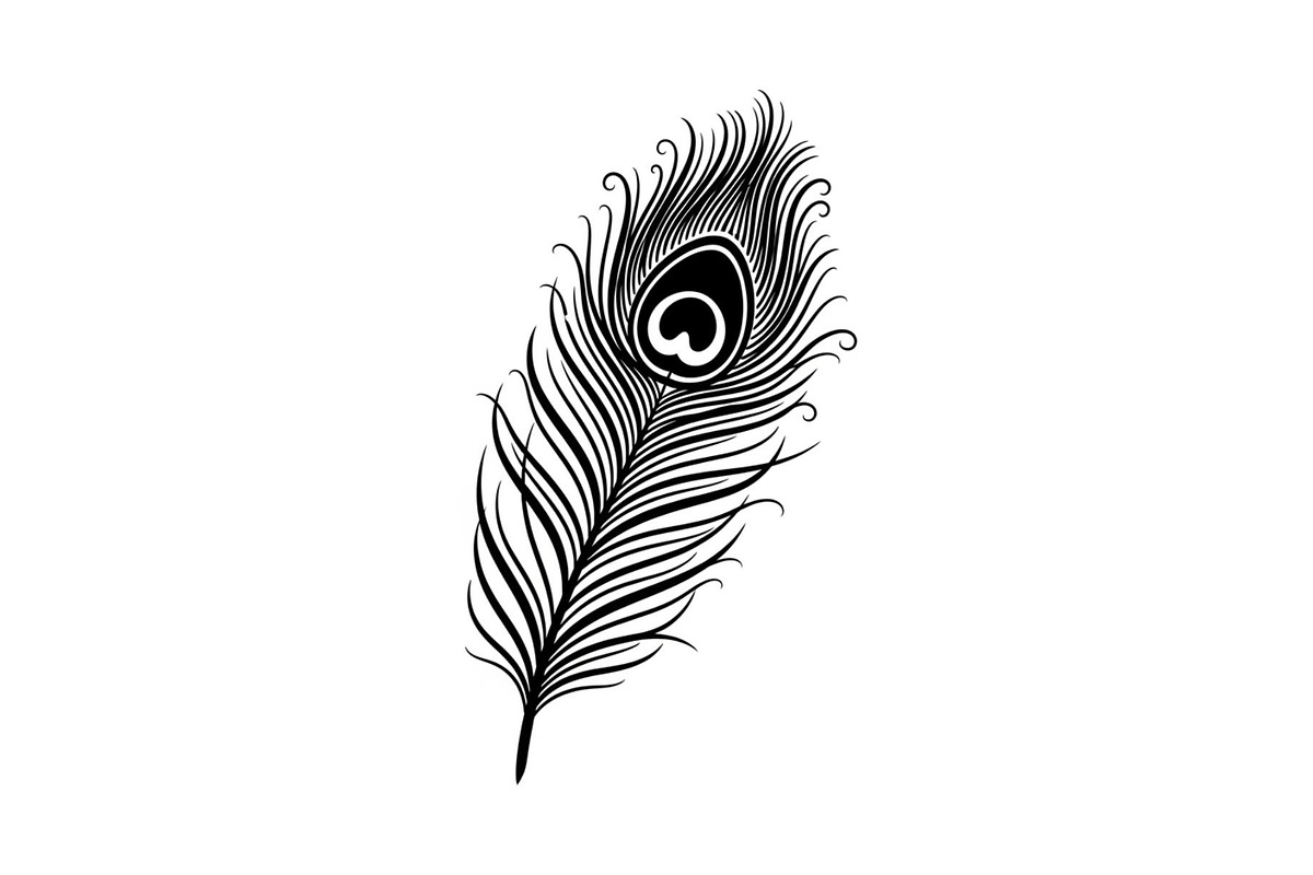 Peacock Feather Silhouette Bundle, an Illustration by jahid234 (Photo 27 of 31)