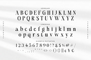 Silvena – Modern Elegant Serif Font, a Serif Font by BrandSemut (Thumbnail 9 of 10)