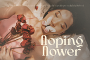 Anthy - 5 Display Family, a Serif Font by Dharmas Foundry (Thumbnail 14 of 17)