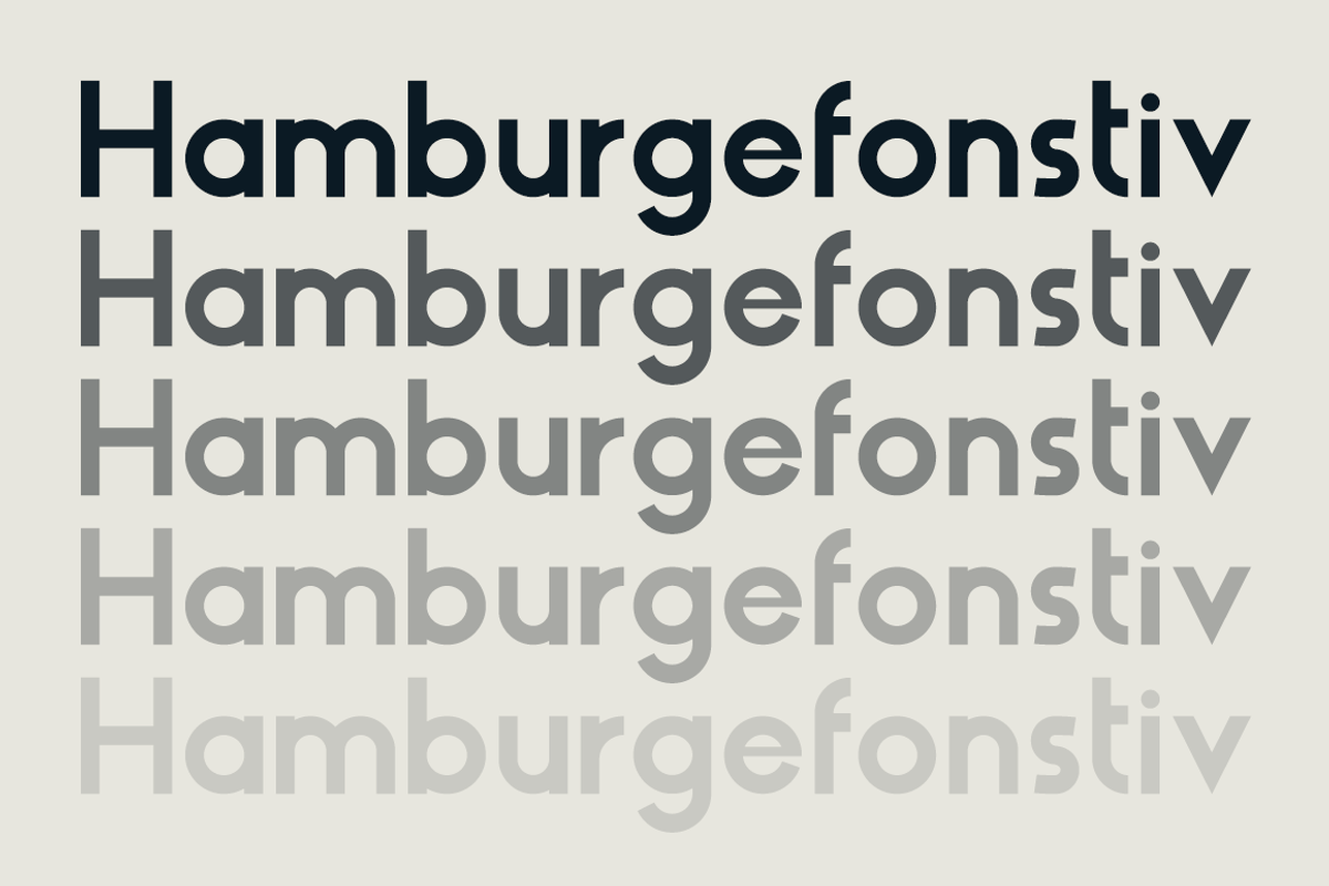 HAUS Sans Bold preview 2