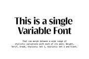 Griggs Variable Typeface, a Serif Font by Seniors (Thumbnail 2 of 10)