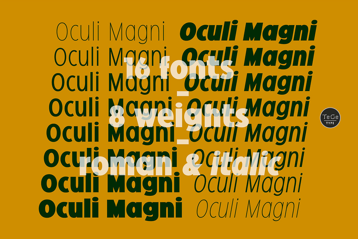Oculi Magni, a Sans Serif Font by TeGeType foundry (Photo 2 of 5)