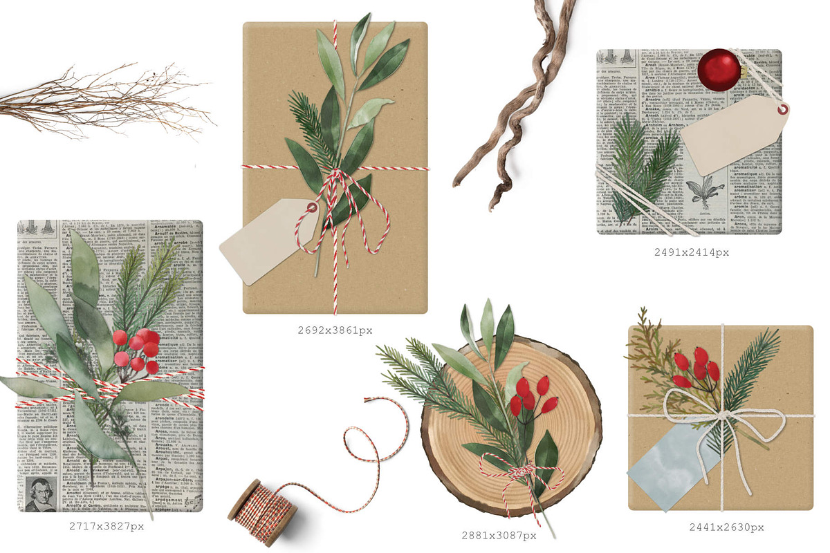 Natural Christmas set, a Decorative Illustration by marie dricot (Photo 5 of 7)