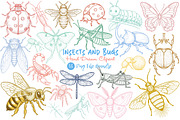 Hand Drawn Insects and Bugs Clipart, an Illustration by Dream Creation (Thumbnail 1 of 5)