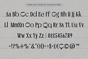 The Villas Luxury Display Serif, a Serif Font by Nollev (Thumbnail 11 of 11)