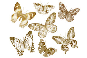 Vector Butterflies Seamless Pattern