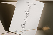Saint Viet | Calligraphy Font, a Script Font by Calamar Studio (Thumbnail 15 of 29)