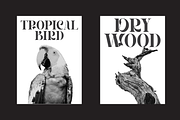 Hegarown Display Serif Font, a Serif Font by Randi Irvan | Rvandtype (Thumbnail 4 of 16)