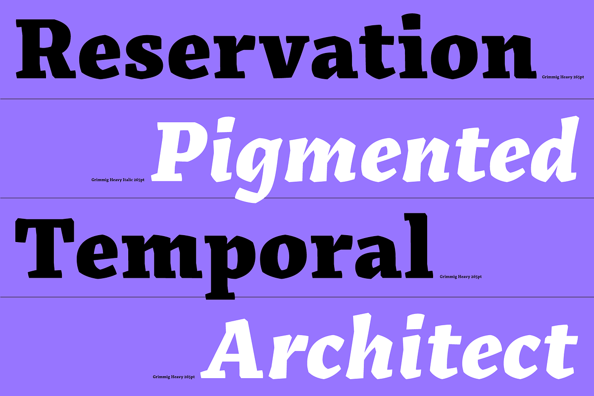 Grimmig, a Serif Font by Schriftlabor (Photo 3 of 8)