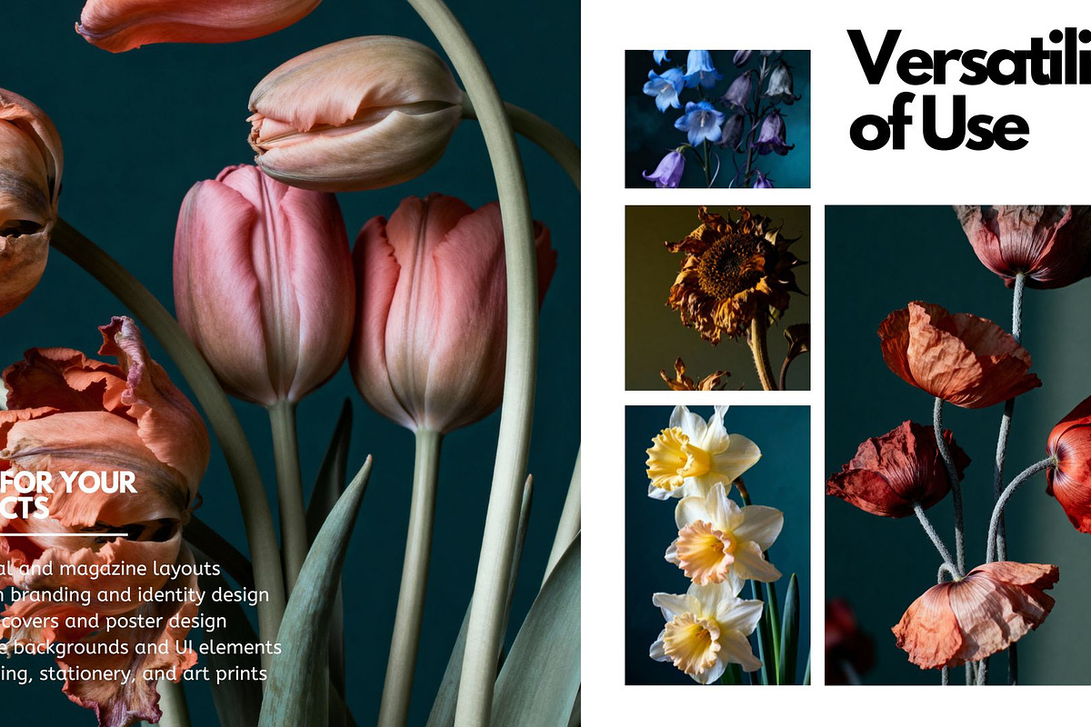Botanical Fine Art Macro Collection, a Nature Photo by Virgo Studio (Photo 5 of 6)