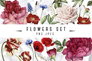 Set of isolated flowers and leaves, a Decorative Illustration by ollalya (Thumbnail 1 of 2)