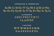 Amuttix - Serif Display Font, a Serif Font by twinstd (Thumbnail 9 of 10)