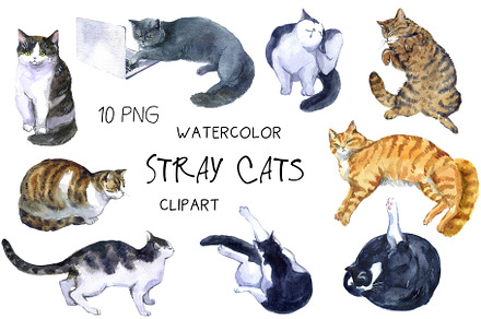 Watercolor Clipart, Cat Clipart, png