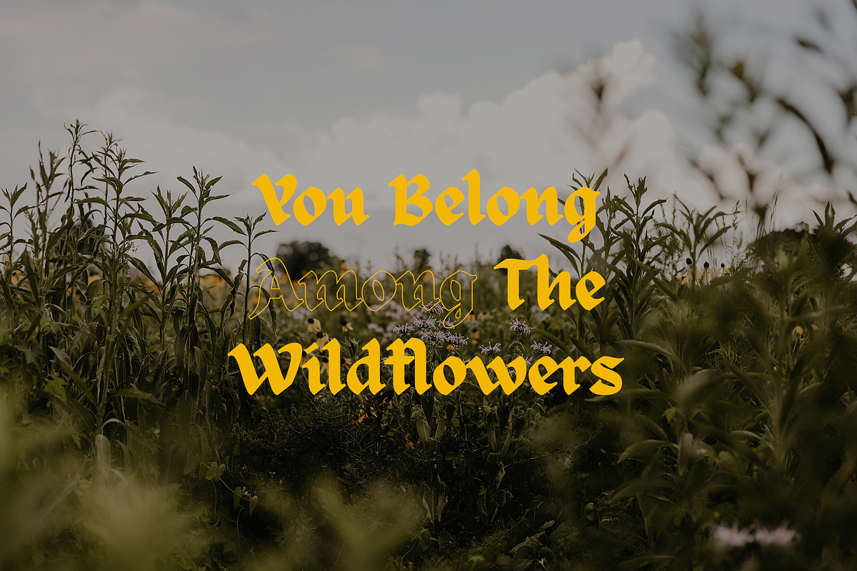 Free Download