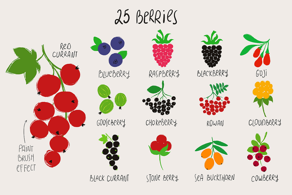 Go for Berries. Forest Collection., a Food Illustration by Annakniaz (Photo 2 of 10)