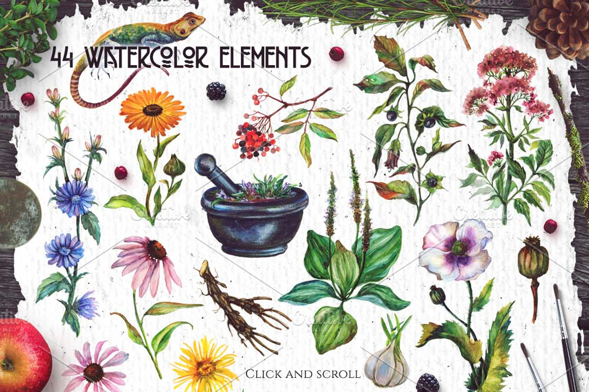 Watercolor Alchemy Medicinal Herbs, an Illustration by Fluffy Unicorn (Photo 2 of 10)