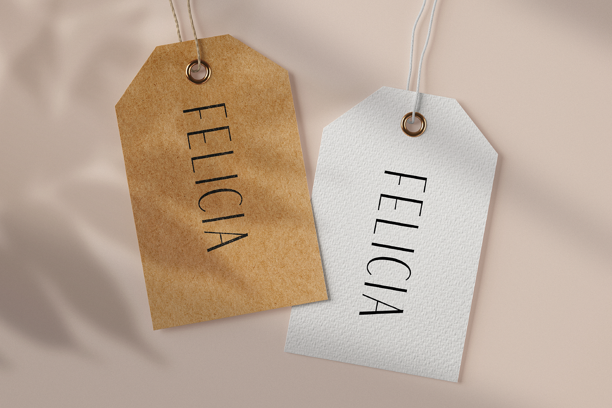 Felicia - Sleek Beauty Typeface, a Serif Font by HipFonts (Photo 10 of 10)