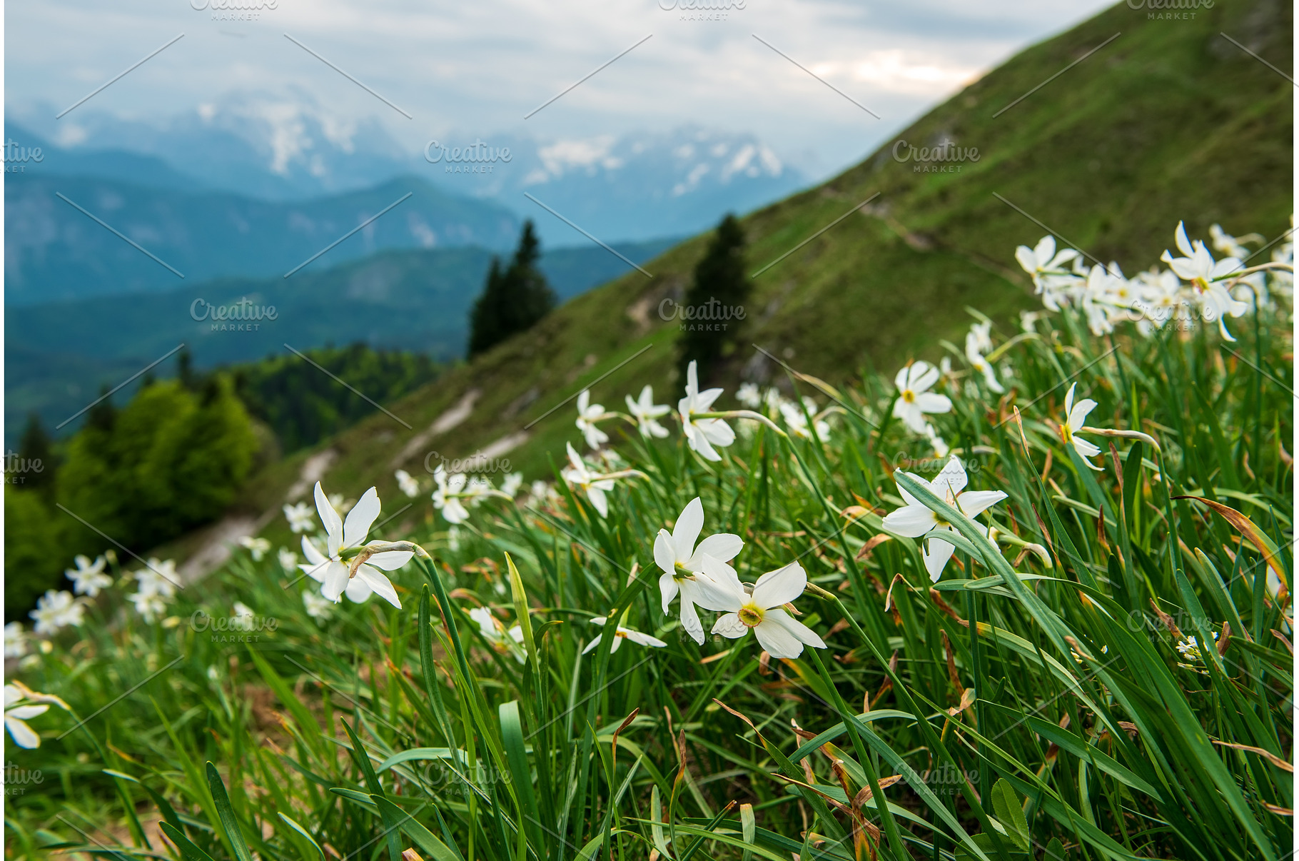 Beautiful mountain landscape with, a Nature Photo by Nature and travel