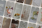Menopause Instagram Reels Canva, a Templates & Theme by Naturopath Hub (Thumbnail 1 of 9)