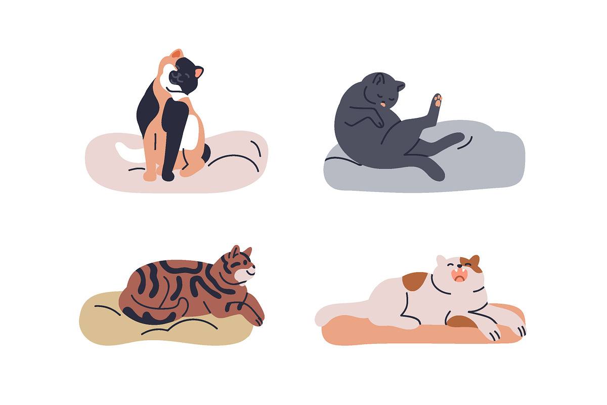 Cute cats on pet beds, cushions set, an Animal Illustration by Good Studio (Photo 2 of 5)