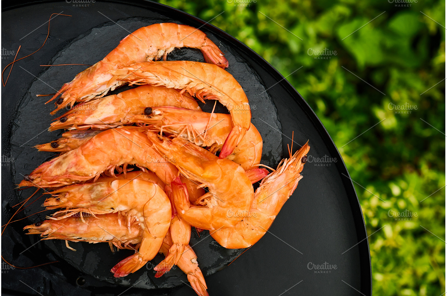Grilled shrimp on a black grill, a Nature Photo by IlliaBondarPhotography