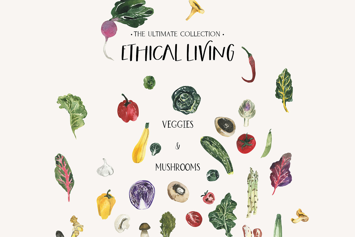 ETHICAL LIVING vegan & eco lifestyle, a Healthcare Illustration by Lana Elanor (Photo 9 of 28)
