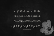 Kadegon | Beauty Calligraphy Script, a Script Font by gracetype_studio (Thumbnail 12 of 12)