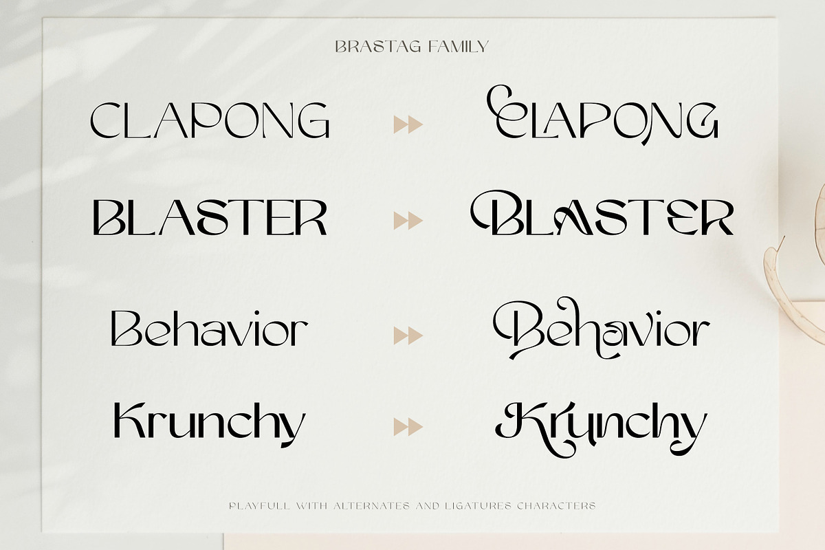 Brastag | Display Family Font, a Sans Serif Font by Ekahermawan (Photo 6 of 11)