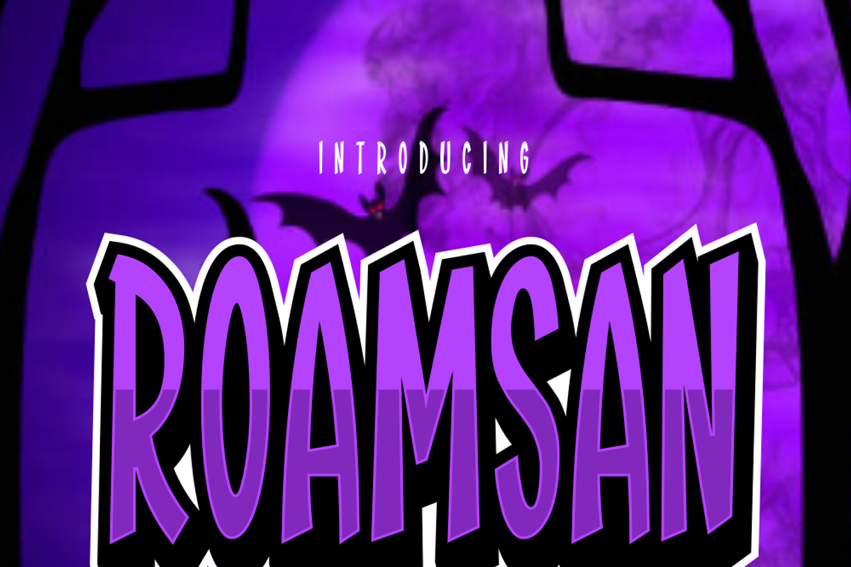 Roamsan, a Sans Serif Font by lelevien (Photo 3 of 6)