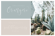 Movelistica, a Script Font by Creamy Script (Thumbnail 5 of 5)