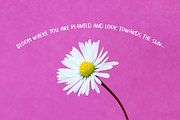 Thanks For The Love Font, a Sans Serif Font by Lollipop Hand Drawn (Thumbnail 3 of 4)