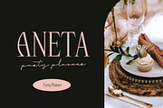 Quitewave Serif, a Serif Font by Typia Nesia (Thumbnail 8 of 10)