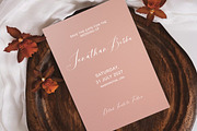Ambition Bright, a Script Font by Artic Type (Thumbnail 4 of 9)