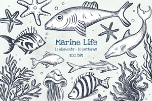 Sea Animals Pencil Clipart, an Illustration by Hanna's ArtLab