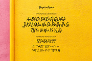 Tropicalismo Typeface, a Script Font by ikiiko (Thumbnail 4 of 6)