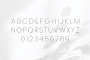 Desiras Font Family - Sans Serif, a Sans Serif Font by RC graphics (Thumbnail 2 of 8)