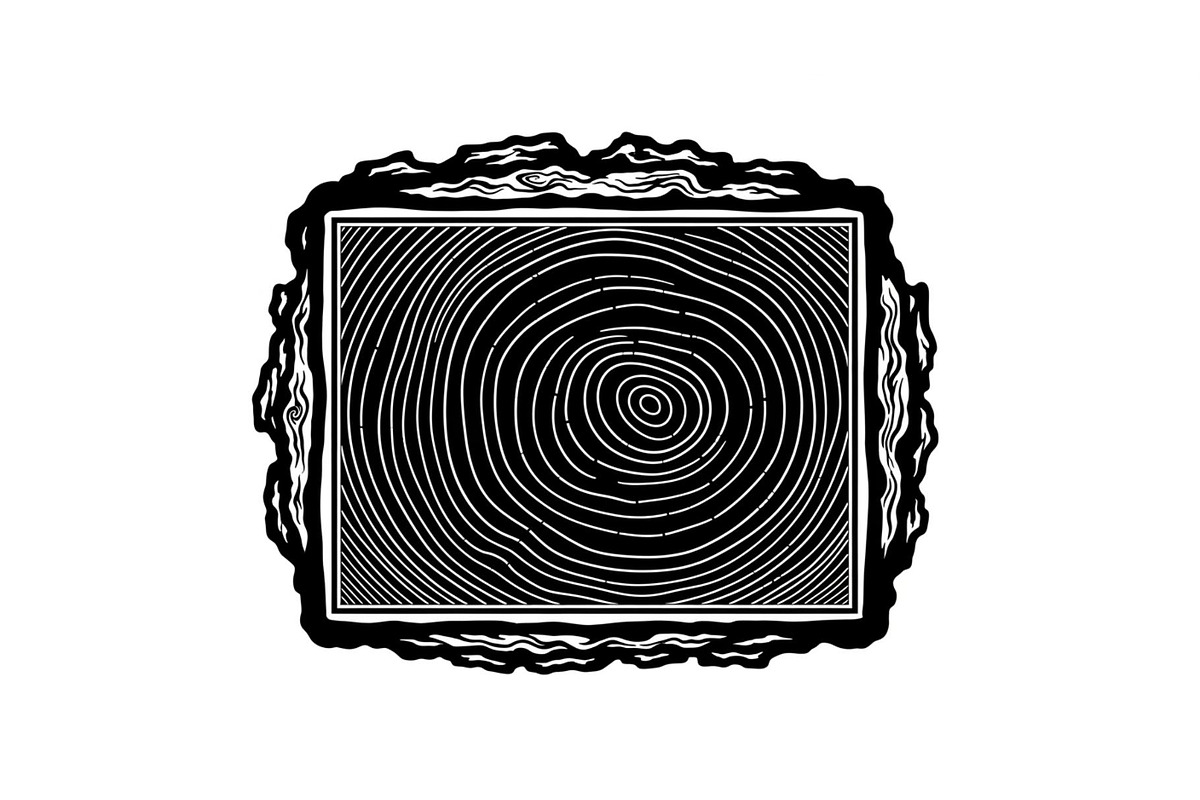 Rustic Wood Slice Frame Bundle, an Illustration by yasushie (Photo 22 of 31)