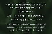 Atien, a Serif Font by Auliacreative (Thumbnail 3 of 9)