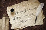 La Vista, a Script Font by AMINMARIO (Thumbnail 5 of 10)