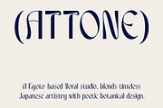 CS Fiore – Art Nouveau Font, a Sans Serif Font by Craft Supply Co. (Thumbnail 6 of 8)