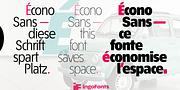 Écono Sans Pro, a Sans Serif Font by ingoFonts (Thumbnail 2 of 9)
