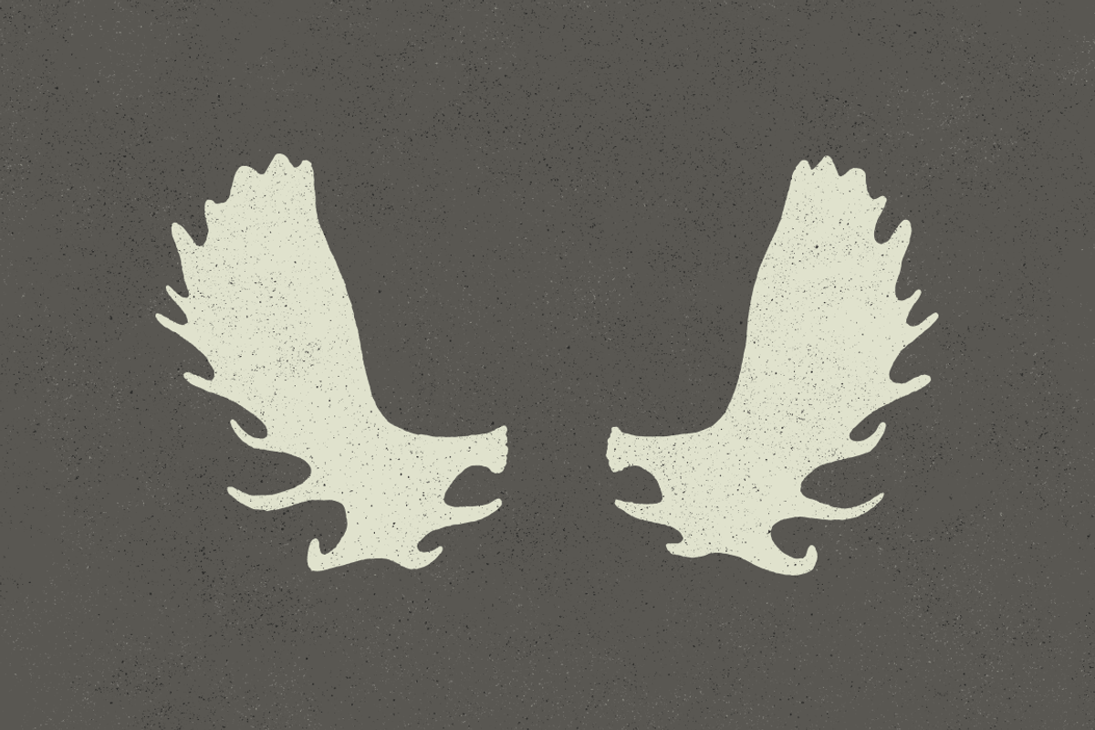 6 Deer Antlers - Hand Illustrated preview 3